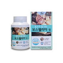 씹어먹는보스웰리아 사과초모식초 정제 Boswellia 1통 부모님 할아버지 할머니 선생님 어르신 중장년