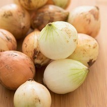 자연맛남 23년수확 제주직송 양파 5kg/10kg, 01.제주직송 양파 5kg, 상세설명 참조