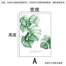 무늬 불투명 유리 시트지 반투명 창문 사생활 보호 필름 크기 창 호일 신선한 식물 욕실 주방 거실 침실 발코니, 4, 55x120cm