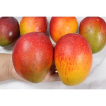 프리미엄 애플망고 4kg 2kg 페루 대만 브라질 선박수입, 애플망고 4kg 10과 내외, 1개