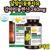 월경전 콜레스테롤 면역과민반응 증후군 X 약 3개월분 생리 전 영양제 달맞이기름 혈행 개선 효능 통심할때 피부상태 신진대사 달맞이꽃종자유 감마리놀렌산 여성 중년여성 2통
