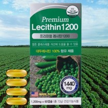 (식약처인증) 1+1 내몸건강연구소 식물성 대두 레시틴 1200mg 60캡슐 1개월분 난황 뇌 영양제 인지질 포스파티딜콜린 레시친 래시틴, 2+2(4개월분)