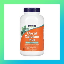 Now Foods CurcuBrain 나우푸드 커큐민 브레인 400mg 베지캡슐 50정
