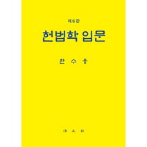 헌법학 입문, 한수웅 저, 법문사