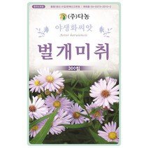 수레국화 1g - 야생화 씨앗 꽃씨 씨 꽃씨앗 수레국화씨앗 수레국화씨 야생화씨앗 꽃 시차국 남부용 도깨비부채, 23_다농_벌개미취(300립)