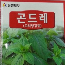 [가람종묘사] 곤드레(고려엉겅퀴) 씨앗(엉겅퀴의 일종으로 성인병 예방에 탁월한 효과)