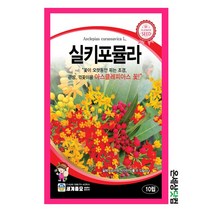 실키포뮬라 10립 / 금관화 씨앗 종자 꽃씨 화단 꽃밭 정원