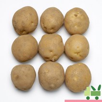 사라상회 감자 10Kg (특), 1개