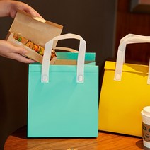 타포린가방 부직포 보냉 보온 도시락 쇼핑백 미니 부직포 22cmx26cm, 민트