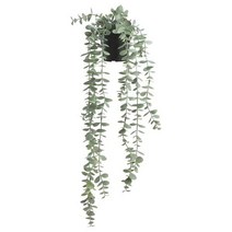 이케아 IKEA 인조식물 실내외겸용 걸이형 유칼립투스 58cm, 1개