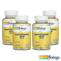 솔라레이 판토텐산 500mg 100베지캡슐 4팩 비타민B5 칼슘 아세틸콜린 지방산 조효소 A, 1개, 기본