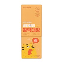 바이오메라 젤리스틱 비타 활력대장 망고맛 20g x 15포, 300g, 1개