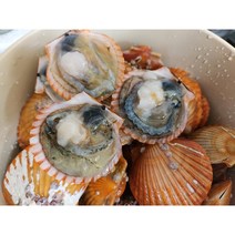 통영알큰골든가라비 싱싱한제철해산물 가리비선물 조개 2kg-5kg, 골든가리비 4kg (92~108미)