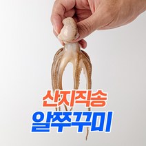 고흥 생물 국산 활 쭈꾸미 1kg 2kg 3kg 산지직송 당일발송, 1개