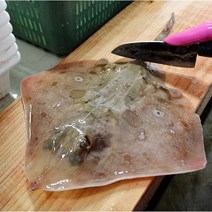 통영 신선한 횟감용 매운탕용 간재미(가오리) 1kg 산지직송, 1팩, 간재미(급냉/횟감용)1kg