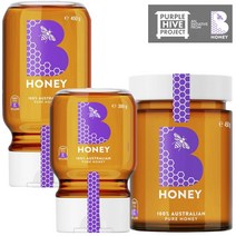 B 허니 오스트레일리안 퓨어 호주꿀 300g-450g, 2.Jar 450g