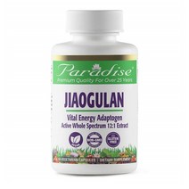 Paradise Herbs 파라다이스허브 돌외잎 자오굴란 활력 에너지 아답토젠 60캡슐 3개 JIAOGULAN 12:1, 1세트