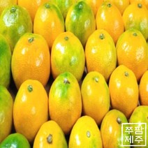 쭈팜 제주 서귀포 산지직송 하우스감귤, 소과, 1개, 2kg