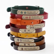 가죽 인식표 강아지 목걸이 고양이 이름표 NEW레더베이직, 기본체, 초코브라운