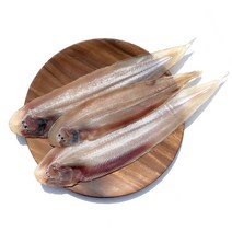 산지직송 군산 생선 반건조 박대 29-37cm 4미 5미 모음, 01 5미(소) 29cm 내외