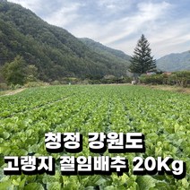 [HACCP/전통식품인증]국내산 30년전통 전라도식 배추 겉절이, 겉절이 2kg