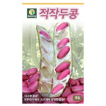 적작두콩 5립 적작두콩씨 적작두콩종자 적작두콩씨앗, 단품없음