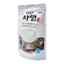갯벌소금 태안자염500g, 1개, 500g