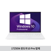 [Win10Pro] LG 그램17 gram 17Z95N-GP50ML 인텔i5 사무용 기업용 노트북 추천, 윈도우10Pro, 8GB, 256GB, 코어i5, 화이트