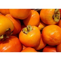 단감 5kg (28-31과) 밀양단감 부유단감 산지발송(OF)