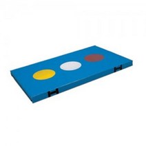 안전 매트 착지 매트 체육교구 체력장 착지원 120x200 _ 20230320EA, 쿠팡 본상품선택