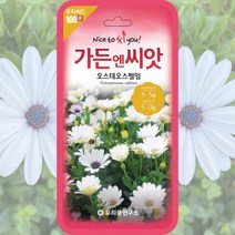 오스테오스펄멈 디모르포세카 씨앗 30립 데이지, 단품