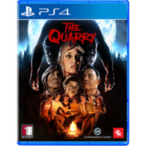 PS4 쿼리 스탠다드 에디션 한글판