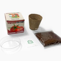 미니 화분 키트 방울토마토 자연분해 화분 반려식물 키우기 세트, 단품
