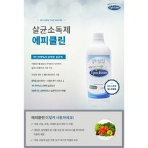 살균소독제 Epiclean(에피클린) 1L, 1