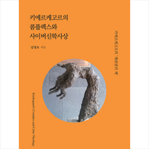 키에르케고르의 콤플렉스와 사이버신학사상 +미니수첩제공, 한국학술정보