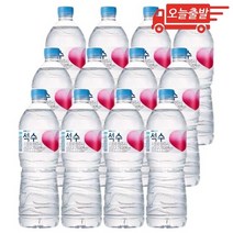 오늘출발 하이트진로 석수 생수 1L 12개