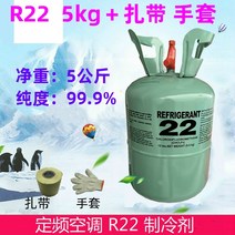 에어컨 냉매 가스 주입 충전 냉동 게이지 불소 도구 가정용 프레온, r22 순중량 5kg r22 순중량 5kg 케이블