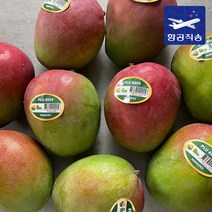 [항공직송] 페루 브라질 애플망고 2kg 4kg 가정용 선물세트, 3.[선물세트] 애플망고 선물세트 6과