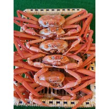 [산지직송] 넘버원크랩 울진 후포리 명품 자숙 홍게 3kg 품질 수율 보장 당일배송 택배비무료 울진 후포 영덕 속초 붉은대게, 후포리 명품 홍게 선물용 1.5kg 5미, 5마리, 1.5kg 내외 5미 마리당 280 ~ 350g