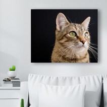 귀여운 고양이 사진 캔버스액자 (고객님 야옹이 사진으로도 제작 가능합니다), CAT13