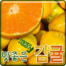 서귀포농원 22년 첫수확 고당도 감귤 5kg 10kg, 1개, 고당도 감귤 10kg프리미엄과(S)