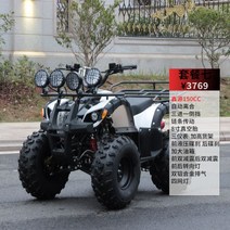 산악 사륜바이크 소형 4륜구동 짐운반 ATV 레저용 농업용 오토바이 네발바이크, 패키지 Seven/Xinyuan 150/Chai
