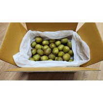 제주 레드 키위 3kg 중소과 40과내외 개당60~80g, 단품