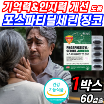 식약청 인증 포스파티딜세린 징코 빌로바 기억력 인지력 영양제 두뇌 뇌 건강 포스파라 포스파티 딜세린 포스파티딜 포스파티 포스타 세린 포스파 포스파디 딜린 린레린 포스 쎄린 타티딜, 1박스 (47,620원 할인), 1200mgX60캡슐