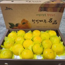 산지직송 고당도 제주 황금향 가정용 선물용, 5kg 가정용 꼬마과 (40과 내외)