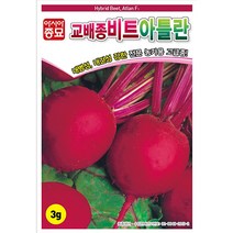 아시아종묘 비트종자씨앗 아틀란 비트(3g) 약 300립 뿌리비트 전문농가용