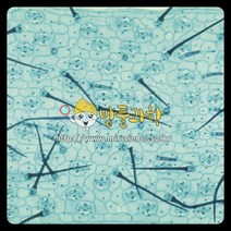 (ART)닭의 장풀(자주달개비) 프레파라트/KSIC-6535