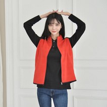 아트박스/교복몰 심플 폴라폴리스 조끼 (3color) 유니폼 반티 조끼