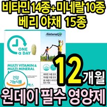 대용량 원데이 멀티 비타민 4통 미네랄 종합 영양제 항산화 비타민 b c d 마그네슘 칼슘 식 약 처 에너지 뼈 눈 혈액 건강 어린이 청소년 남성 여성 30대 50대 70대 추천, 4박스(12개월)