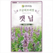 캣닙 개박하 씨앗, 캣닙씨앗 1g